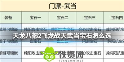 天龙八部2飞龙战天武当宝石怎么选-天龙八部2飞龙战天武当宝石推荐