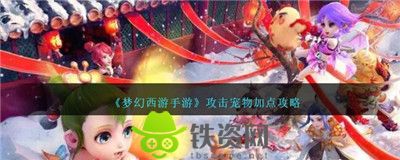 梦幻西游手游攻击宠物怎么加点-梦幻西游手游攻击宠物加点攻略